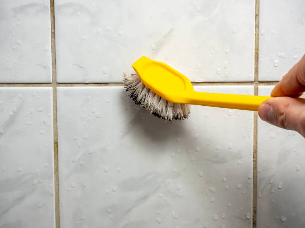  Ampere North, NJ Mold Removal Pros